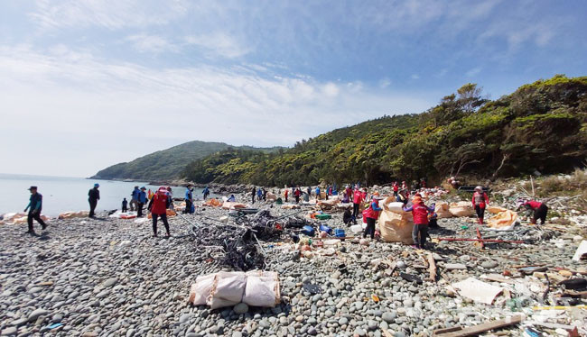전남도 바다의 날 해양쓰레기 정화 사진.