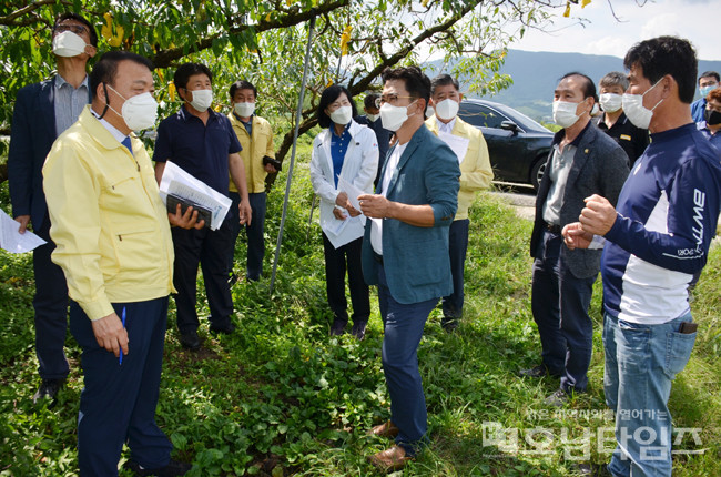 순천시의회가 월등면 복숭아 농가를 방문해 피해상황을 점검했다.