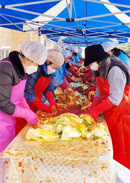 봉사단원들이 우리 농산물로 직접 김장김치를 담그고 있다.