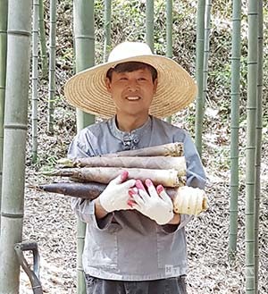 담양죽순영농조합법인 이미지