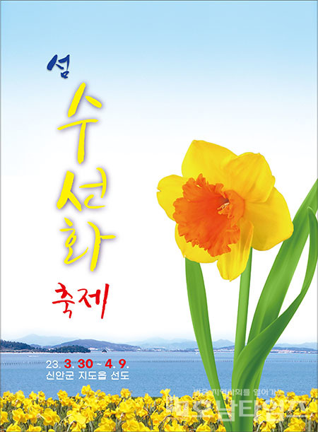 신안군 봄의 섬 선도! ‘섬 수선화 축제’ 3월 30일 개막.