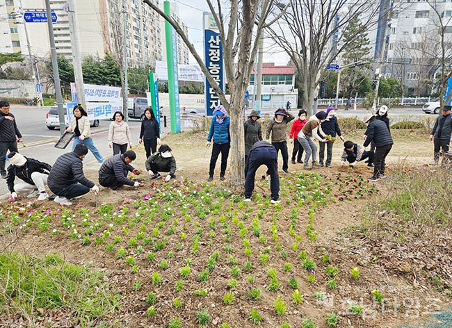 목포시 연산동, 새봄맞이 꽃 식재 및 환경정비 활동 펼쳐