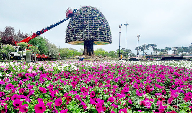 함평엑스포공원 꿈나무, 희망나무 조형물에 꽃탑을 쌓는 모습.